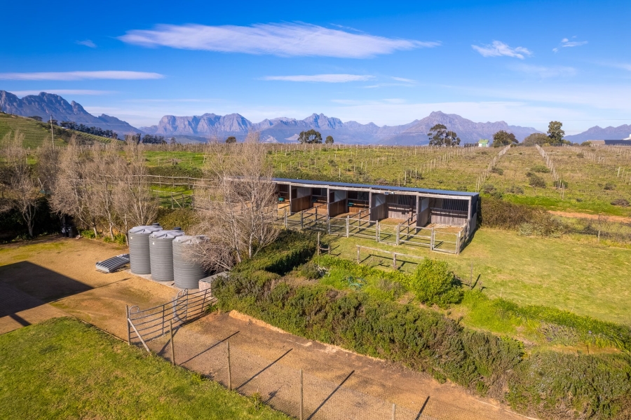 5 Bedroom Property for Sale in Stellenbosch Farms Western Cape